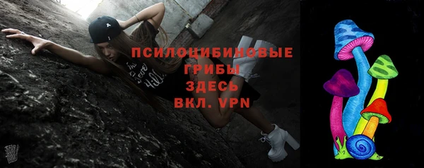a pvp Ельня