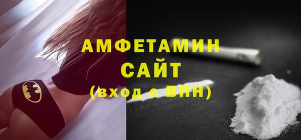 хмурый Гусь-Хрустальный