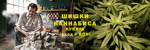 хмурый Гусь-Хрустальный