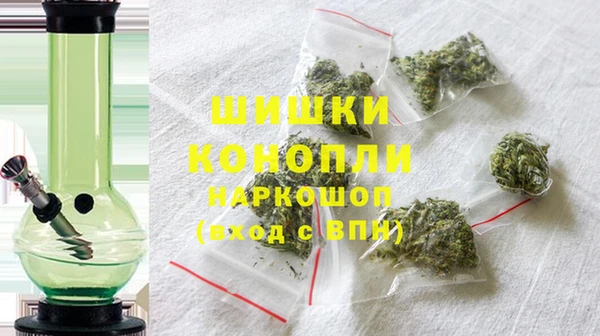 хмурый Гусь-Хрустальный