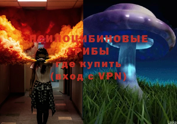 ПСИЛОЦИБИНОВЫЕ ГРИБЫ Горнозаводск