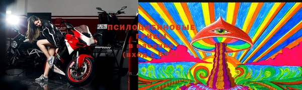 бошки Горно-Алтайск