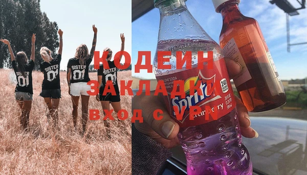 ешки Гусев
