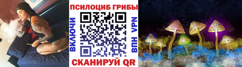 купить  сайты  Зея  Галлюциногенные грибы мухоморы 